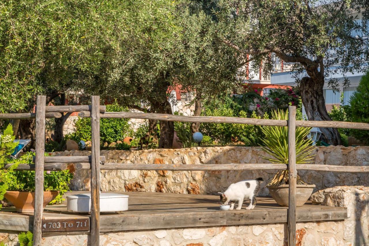 Oasis Hotel (Adults Only) Kalkan Luaran gambar